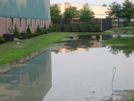 Picture 854.jpg